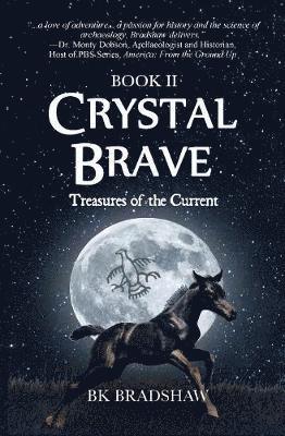 Crystal Brave 1