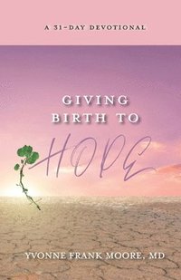 bokomslag Giving Birth to Hope