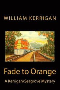bokomslag Fade to Orange