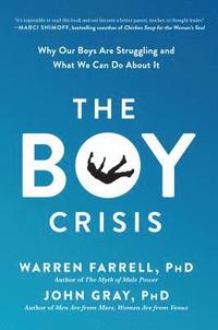 bokomslag The Boy Crisis