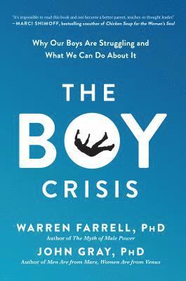 bokomslag The Boy Crisis