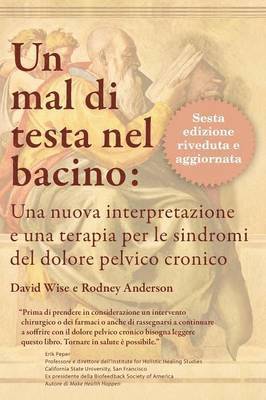 bokomslag Un mal di testa nel bacino