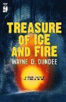 bokomslag Treasure of Ice and Fire