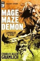 bokomslag Mage, Maze, Demon