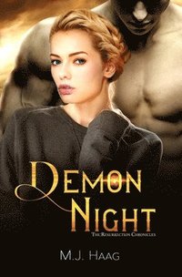 bokomslag Demon Night