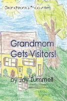 bokomslag Grandmom Gets Visitors!