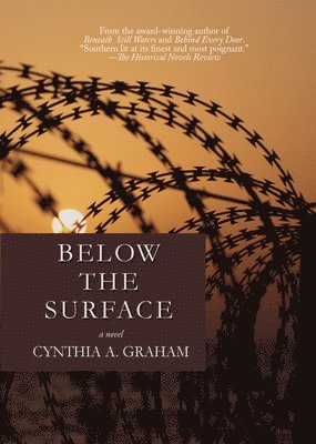 Below the Surface Volume 4 1