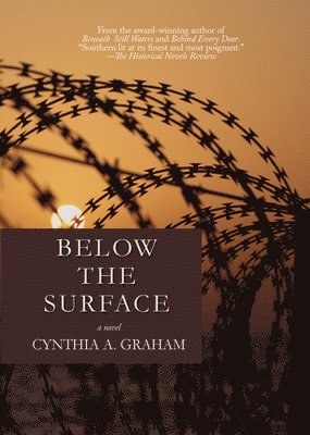 Below the Surface Volume 4