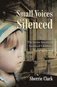 bokomslag Small Voices Silenced