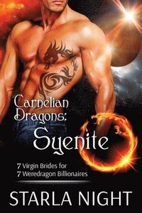 bokomslag Carnelian Dragons