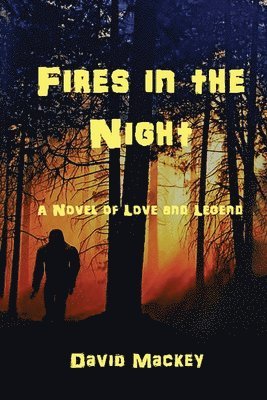 Fires in the Night 1