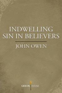 bokomslag Indwelling Sin in Believers