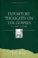 J. C. Ryle - Expository Thoughts on the Gospels Volume 2: Mark, Häftad