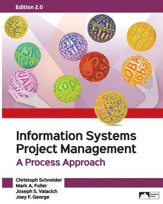 Information Systems Project Management