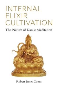 bokomslag Internal Elixir Meditation: The Nature of Daoist Meditation