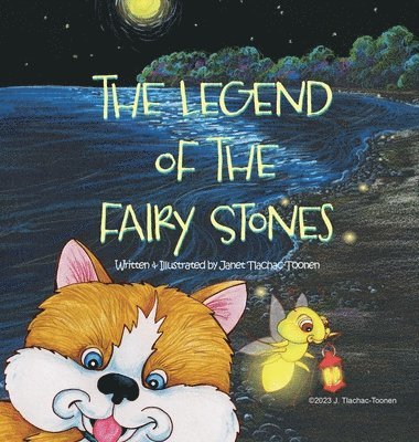 bokomslag Legend of the Fairy Stones