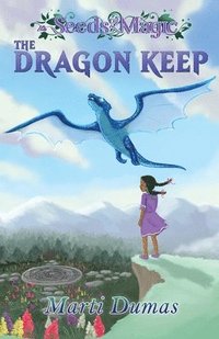 bokomslag The Dragon Keep
