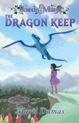 bokomslag Dragon Keep