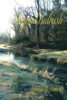 Jeannie E. Roberts - Beyond Bulrush, Häftad