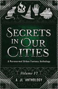 bokomslag Secrets in Our Cities