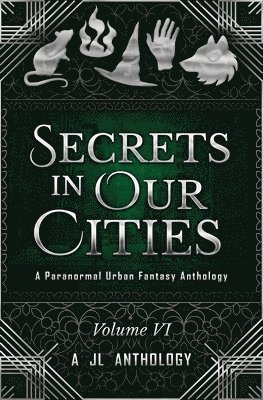 Heather Hayden - Secrets in Our Cities, Häftad