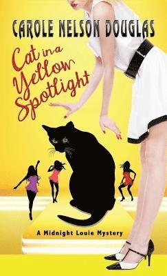 Cat in a Yellow Spotlight 1