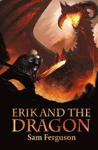 bokomslag Erik and the Dragon