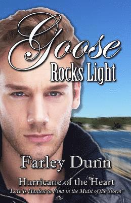 bokomslag Goose Rocks Light