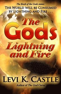 bokomslag The Gods, Lightning and Fire