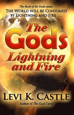 bokomslag The Gods, Lightning and Fire