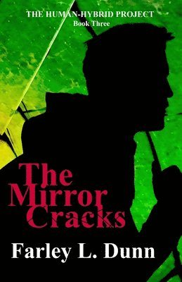 bokomslag Mirror Cracks