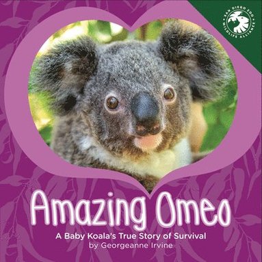 Georgeanne Irvine - Amazing Omeo: A Baby Koala's True Story of Survival, Inbunden