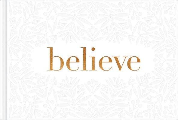 Believe -- A Gift Book for the Holidays, Encouragement, or to Inspire Everyday Possibilities 1