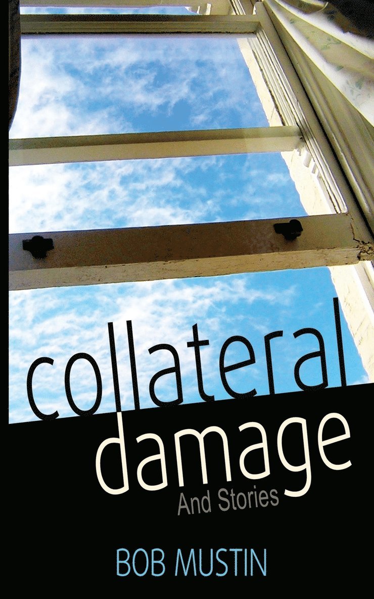 Collateral Damage and Stories 1