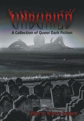 bokomslag Unburied