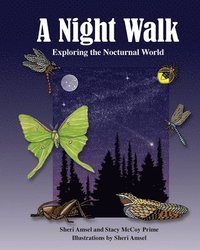 bokomslag A Night Walk