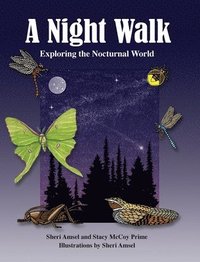 bokomslag A Night Walk