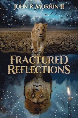 Fractured Reflections 1