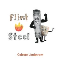 bokomslag Flint And Steel