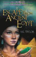 bokomslag Escape from Ancient Egypt
