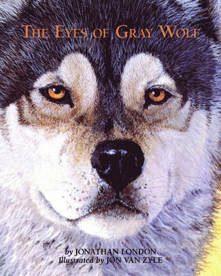 bokomslag Eyes of Gray Wolf
