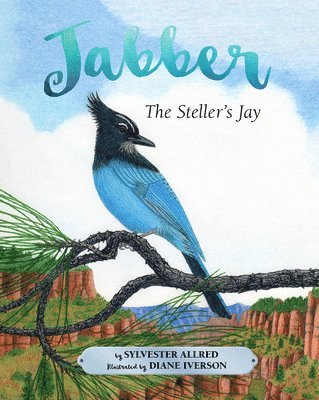 Jabber the Steller's Jay 1