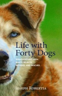 bokomslag Life with Forty Dogs
