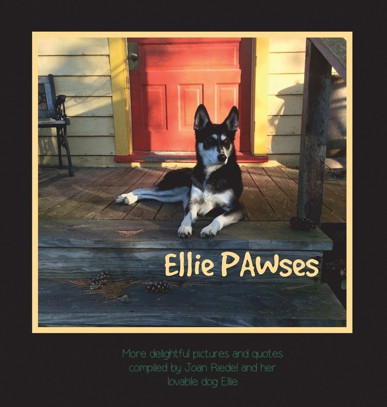 Ellie PAWses 1