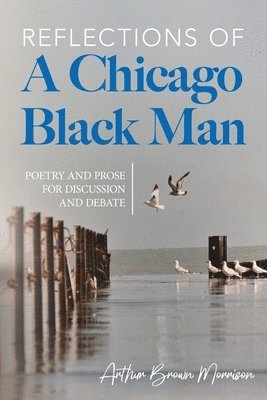 Reflections of a Chicago Black Man 1