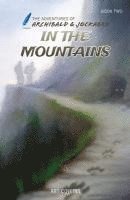 bokomslag In the Mountains (Adventures of Archibald and Jockabeb)