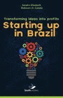 Transforming Ideas into Profit: Starting up in Brazil 1