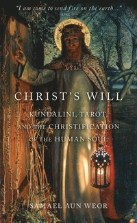 bokomslag Christ's Will