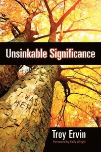 bokomslag Unsinkable Significance