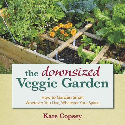 The Downsized Veggie Garden 1